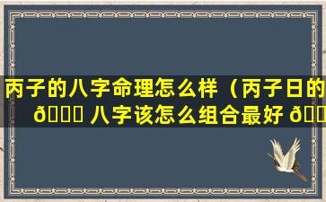 丙子的八字命理怎么样（丙子日的 🕊 八字该怎么组合最好 🕊 ）